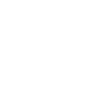 CSS Logo