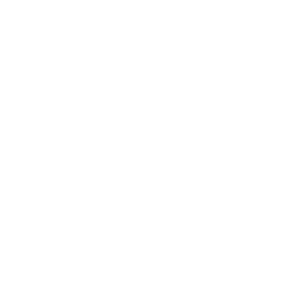HTML Logo